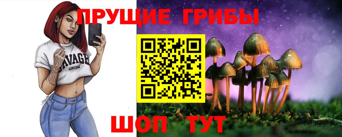 Сафоново  Галлюциногенные грибы MAGIC MUSHROOMS  Вход с VPN  Псилоцибиновые грибы MAGIC MUSHROOMS 
