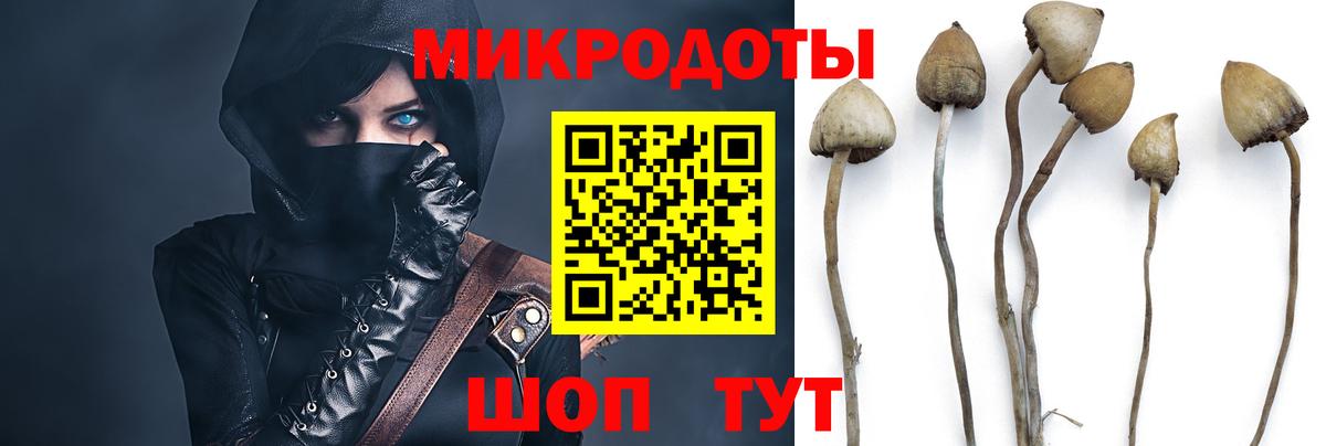 Галлюциногенные грибы GOLDEN TEACHER Сафоново